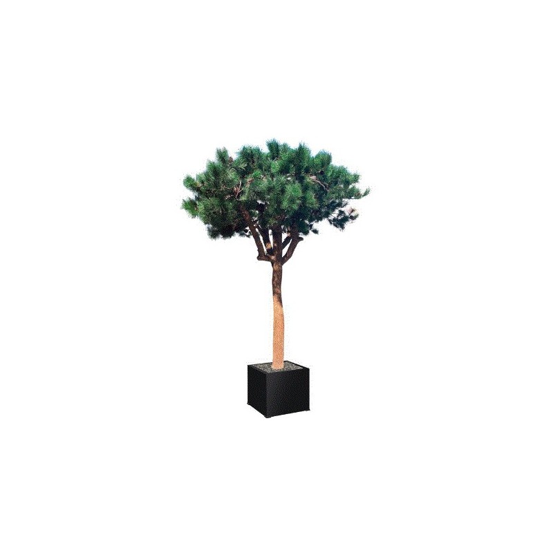 Arbre semi-naturel Pin 230/270 cm