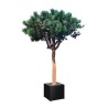 Arbre semi-naturel Pin 230/270 cm