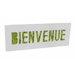 Cadre "BIENVENUE" fond en mousse