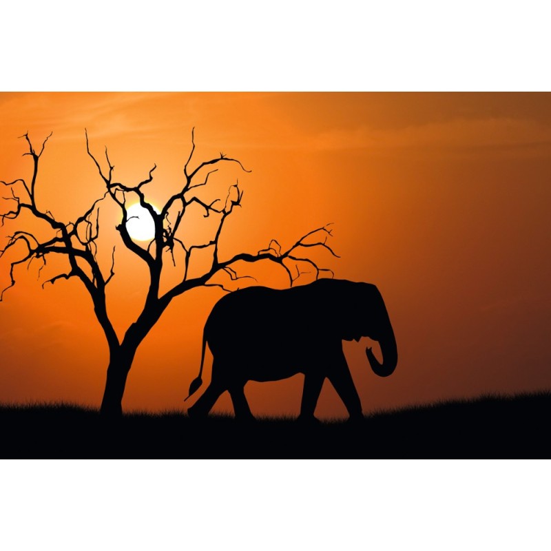 Cadre Eléphant d'Afrique 65x98cm
