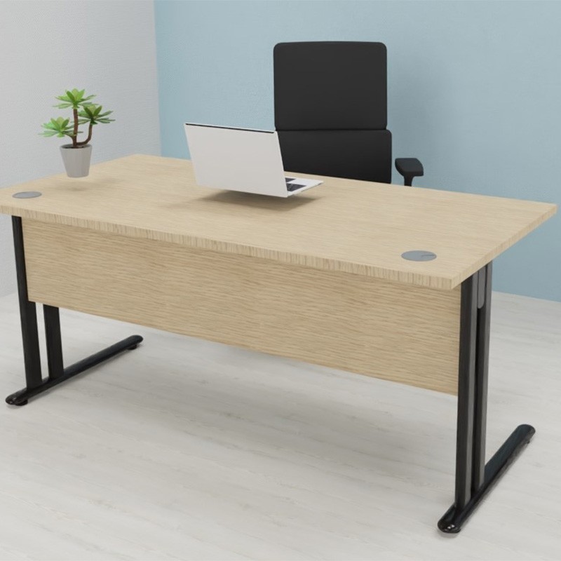 Bureau professionnel individuel ESSENTIEL