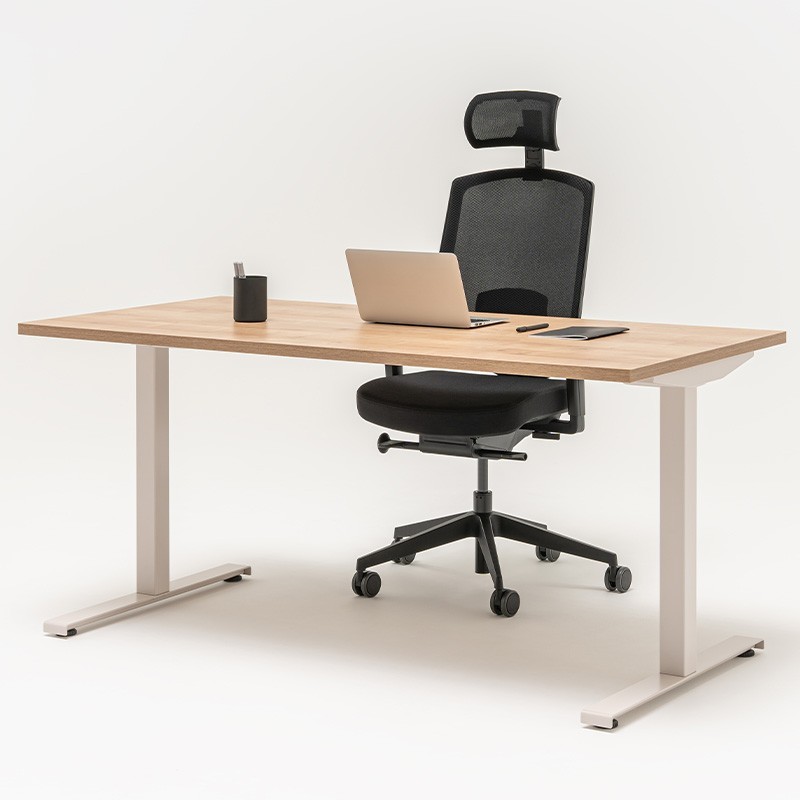 Bureau professionnel individuel Oggy T