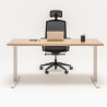 Bureau professionnel individuel Oggy T