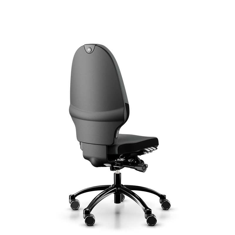 Siège ergonomique RH Extend 220