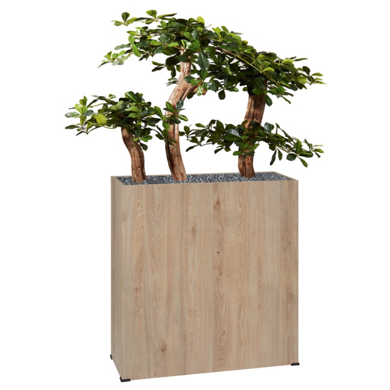 Jardinière Haute en bois BONZAÏ