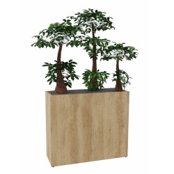 Jardinière Haute en bois BONZAÏ